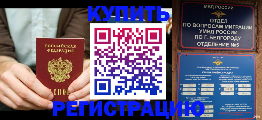 прописка 2025 в Архангельске